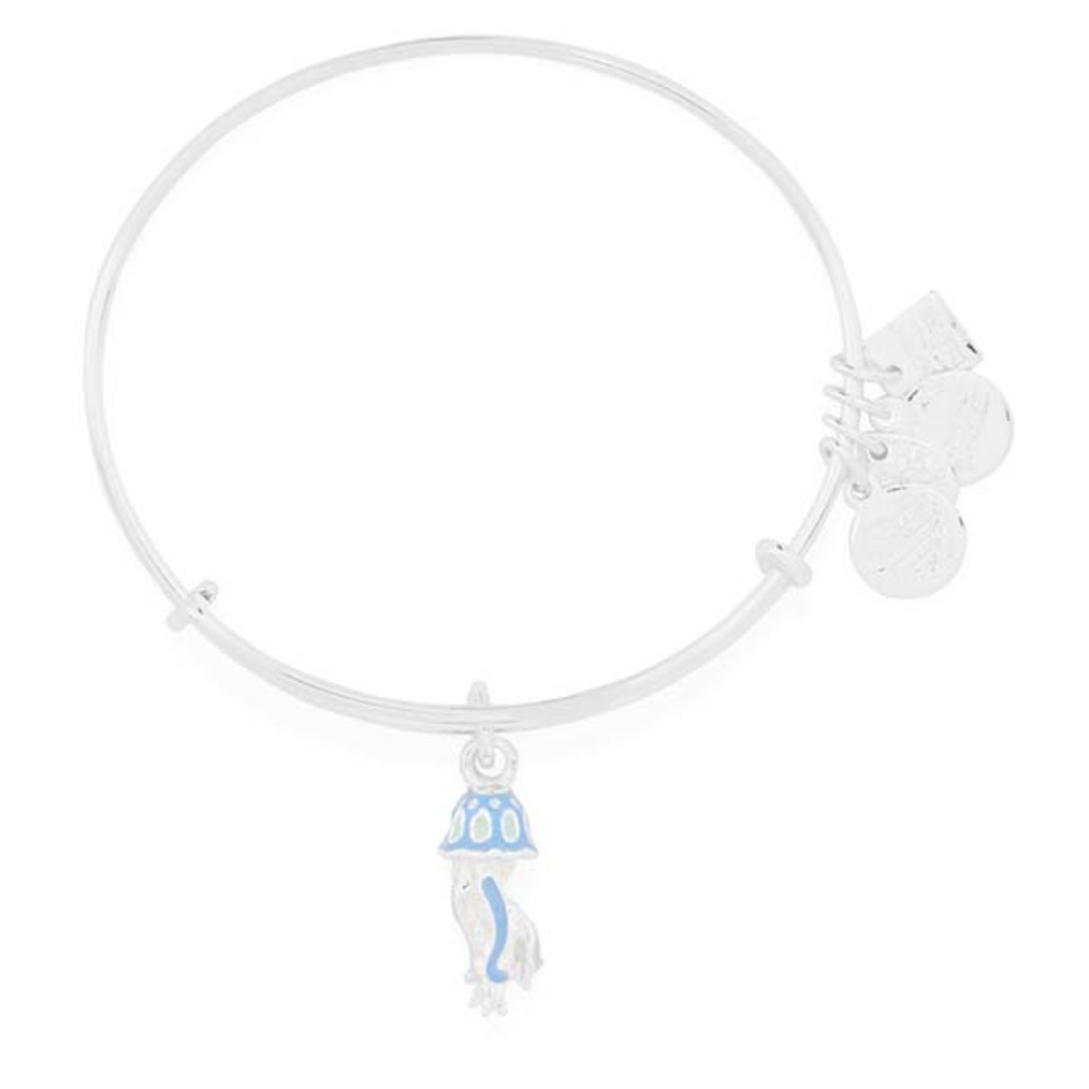 Alex and Ani Silver Bracelet